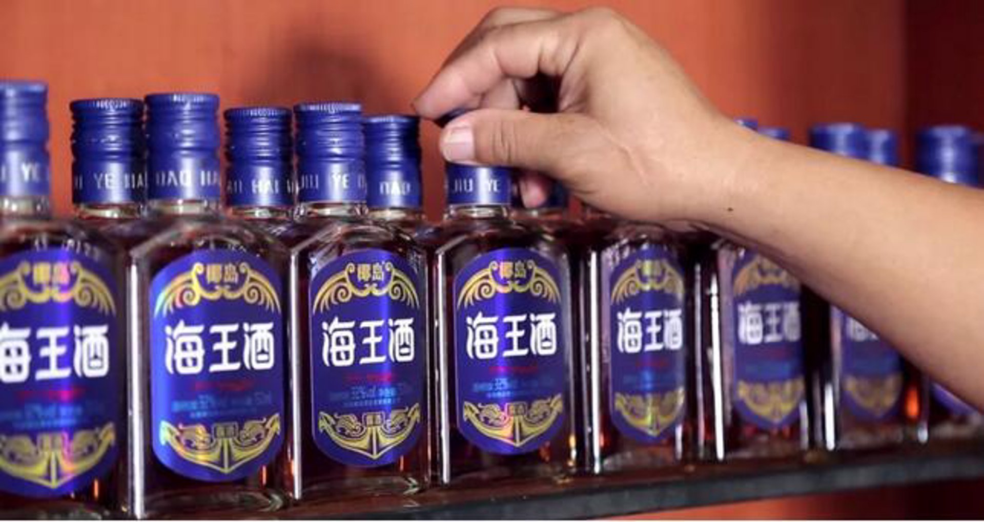 尊茸酒业